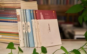 年中工作总结暨下半年计划5篇