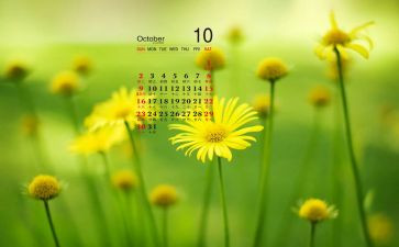 大班月计划10月份月计划7篇