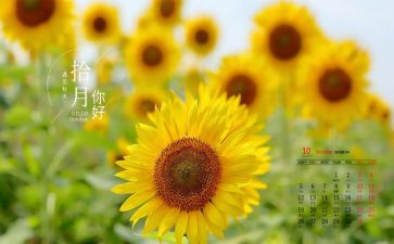 10月份幼儿教师工作总结8篇
