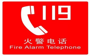 学校119工作总结7篇