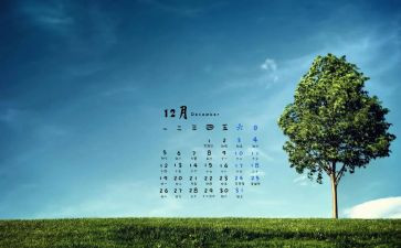 12月工作计划8篇