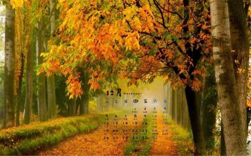 中班12月工作总结6篇