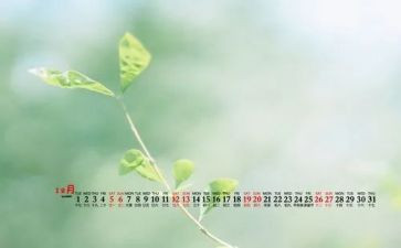 2024年12月份工作计划8篇