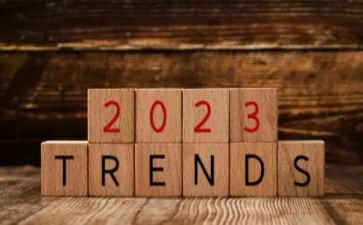行政的2023年述职报告8篇