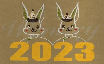 2023年度小学教师工作总结模板6篇