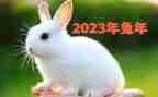 2023年暑假幼师培训心得体会6篇