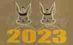 2023年度小学教师工作总结模板6篇