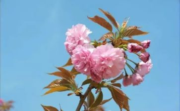 2月销售工作总结范文7篇