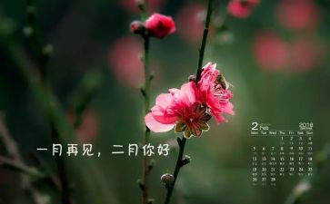 2月安全总结模板6篇