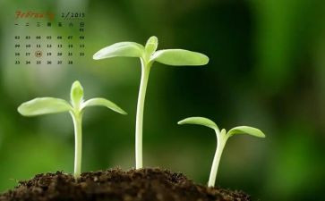 2月体会心得体会模板5篇