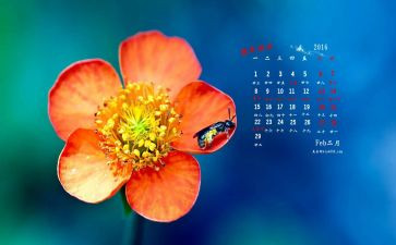 2月销售工作计划7篇