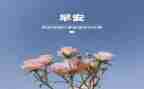 3月主题教案5篇
