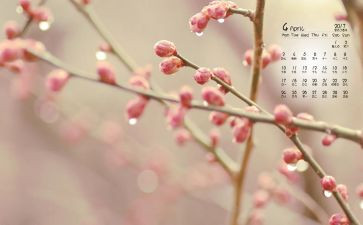 4月总结工作总结报告7篇