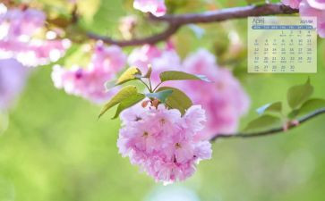 4月份保安工作计划5篇