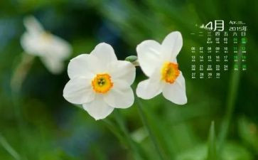 2024年4月份工作总结优秀8篇