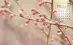 4月总结工作总结报告7篇