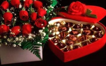 520公司活动方案优质6篇