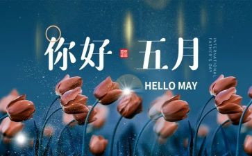 班主任5月份工作总结6篇