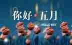 班主任5月份工作总结6篇