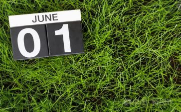 大班下6月工作总结6篇