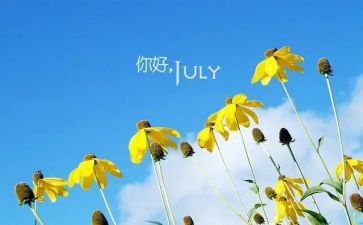 幼儿园中班6月份月计划5篇