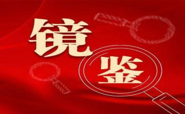 已案促改工作总结6篇