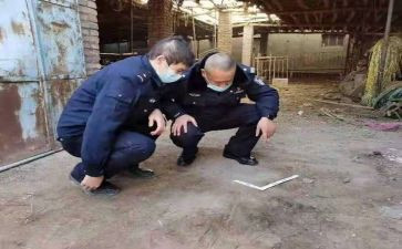 档案管理年度总结范文7篇