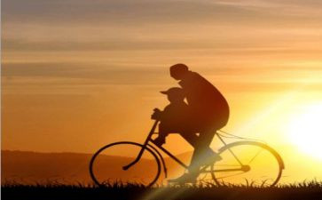 写爸爸的读后感最新5篇