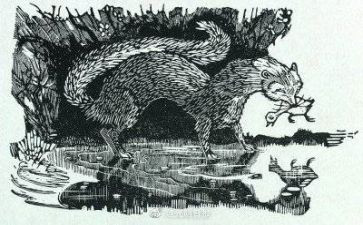 版画鸟教案6篇