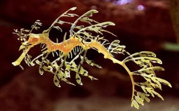 初一生物调查报告5篇