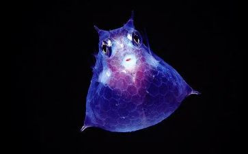 高中生物教学工作总结反思8篇
