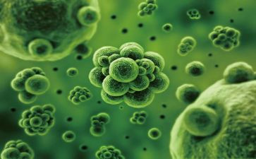 生物馆心得体会推荐6篇