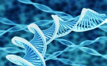生物馆心得体会最新6篇