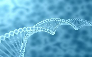 高中生物教师述职报告8篇