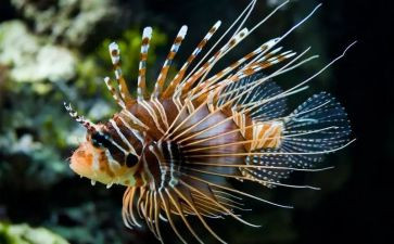 高中生物教师教学计划6篇