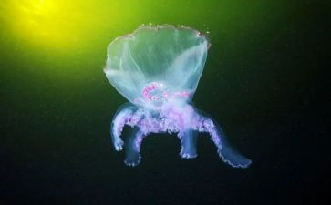 高中生物教师年度总结6篇