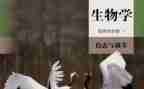 高二下学期生物教师工作计划6篇