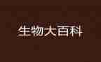 生物教师述职报告7篇