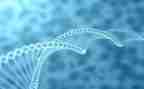 高中生物教师述职报告8篇