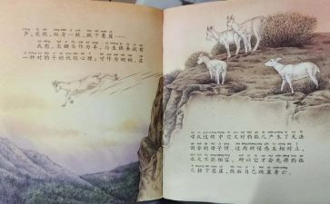 斑羚飞渡读后感500字7篇