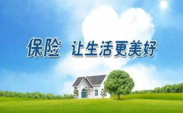 保险的演讲稿最新8篇