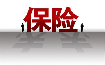 写保险的总结报告8篇