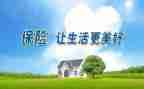 保险员对工作总结6篇