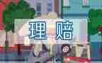 保险员对工作总结参考6篇