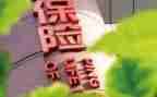 保险员对工作总结通用5篇