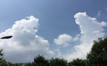 幼儿园的变化教案5篇
