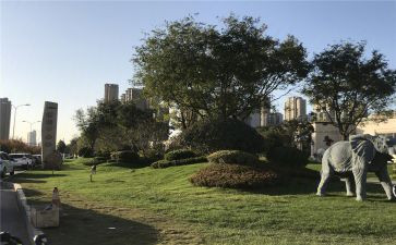 碧桂园物业转正申请书5篇