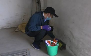 2023年病媒生物防制工作总结7篇