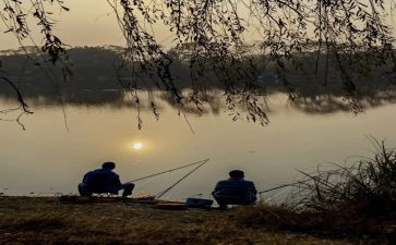 捕捉作文优秀8篇