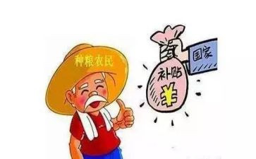 部门补贴申请书6篇